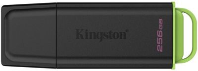 Накопичувач Kingston  256GB USB 3.2 Type-A Gen1 DT Exodia